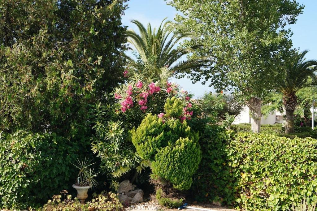 Villa Cala Mendia Cala Mandia  エクステリア 写真
